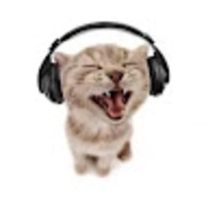 Meet your Posher, Ivy